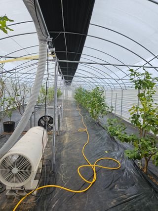 박미라님의 기타작물 · 영농일지 작성글 사진