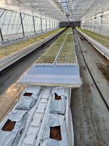 팜모닝 기타작물·영농일지 게시글 이미지