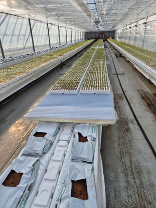 김형남님의 기타작물 · 영농일지 작성글 사진