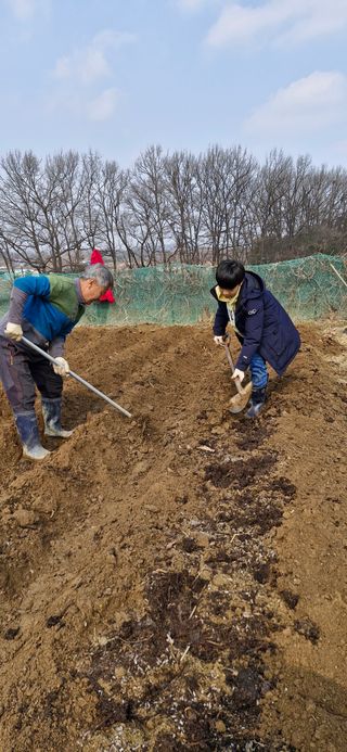 민건리안농장님의 기타작물 · 영농일지 작성글 사진