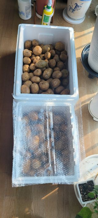 살구15128님의 기타작물 · 영농일지 작성글 사진