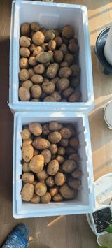 팜모닝 기타작물·영농일지 게시글 이미지