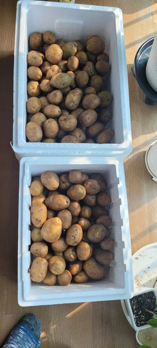 살구15128님의 기타작물 · 영농일지 작성글 사진