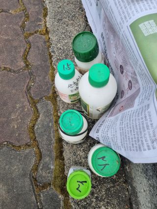 김용대님의 고구마 · 영농일지 작성글 사진