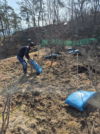 금송농원정시훈님의 기타작물 · 영농일지 작성글 사진