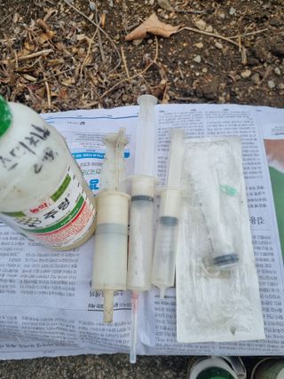 김용대님의 고구마 · 영농일지 작성글 사진