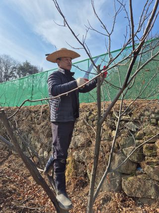 금송농원정시훈님의 기타작물 · 영농일지 작성글 사진