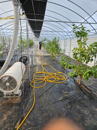 박미라님의 기타작물 · 영농일지 작성글 사진