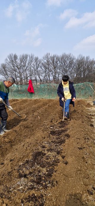 민건리안농장님의 기타작물 · 영농일지 작성글 사진
