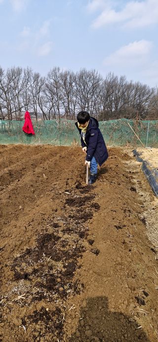 민건리안농장님의 기타작물 · 영농일지 작성글 사진