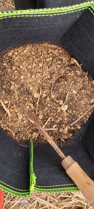 김동제님의 기타작물 · 영농일지 작성글 사진