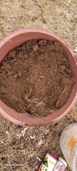 김동제님의 기타작물 · 영농일지 작성글 사진