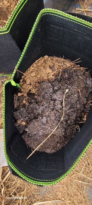 김동제님의 기타작물 · 영농일지 작성글 사진