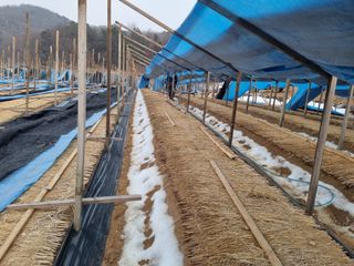 모두팜님의 기타작물 · 영농일지 작성글 사진