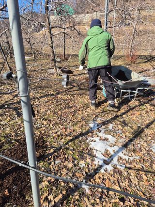 바람소리님의 기타작물 · 영농일지 작성글 사진