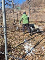 팜모닝 기타작물·영농일지 게시글 이미지