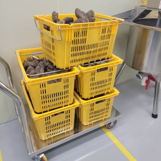 김선순(공룡자색마)님의 기타작물 · 영농일지 작성글 사진