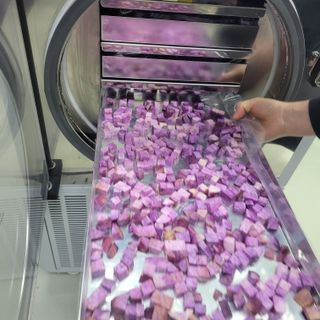 김선순(공룡자색마)님의 기타작물 · 영농일지 작성글 사진