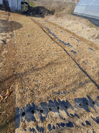 김영례님의 기타작물 · 영농일지 작성글 사진