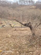 팜모닝 기타작물·영농일지 게시글 이미지