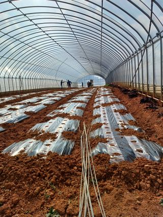 결단이님의 기타작물 · 영농일지 작성글 사진