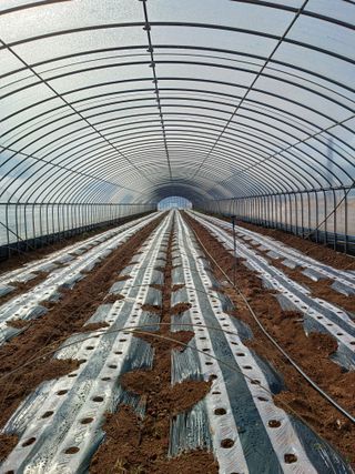 결단이님의 기타작물 · 영농일지 작성글 사진