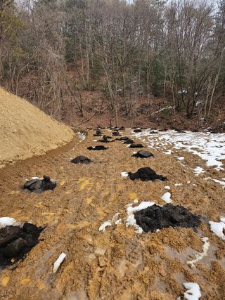 홍천 김진호팜님의 기타작물 · 영농일지 작성글 사진