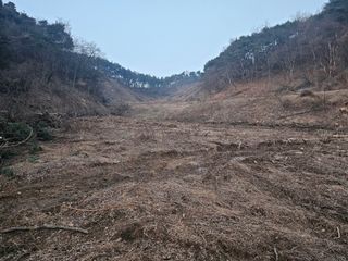 옥수수2904님의 기타작물 · 영농일지 작성글 사진