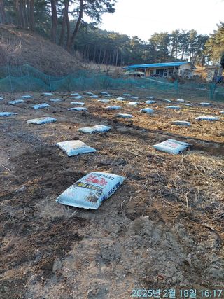 황대헌님의 감자 · 영농일지 작성글 사진
