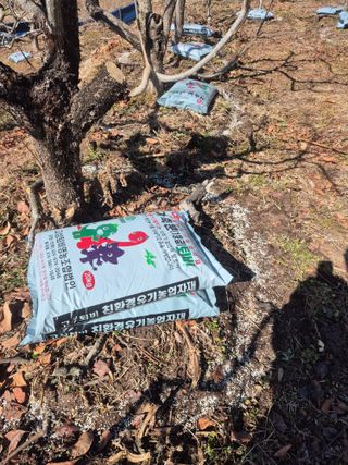 최진일님의 감 · 영농일지 작성글 사진