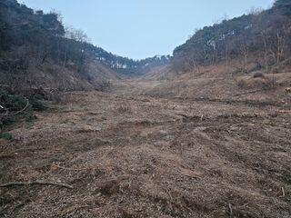 옥수수2904님의 기타작물 · 영농일지 작성글 사진