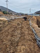 팜모닝 기타작물·영농일지 게시글 이미지