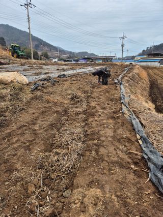 김선희님의 기타작물 · 영농일지 작성글 사진