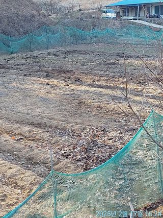 황대헌님의 감자 · 영농일지 작성글 사진