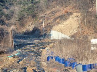 박헌님의 기타작물 · 영농일지 작성글 사진