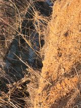 팜모닝 기타작물·영농일지 게시글 이미지