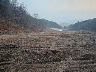 옥수수2904님의 기타작물 · 영농일지 작성글 사진