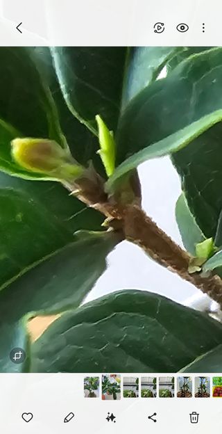 이미옥님의 기타작물 · 영농일지 작성글 사진