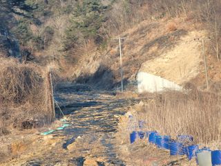 박헌님의 기타작물 · 영농일지 작성글 사진