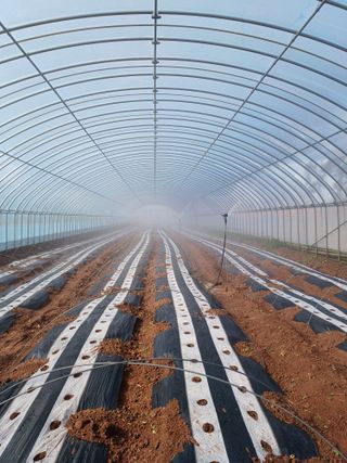 결단이님의 기타작물 · 영농일지 작성글 사진