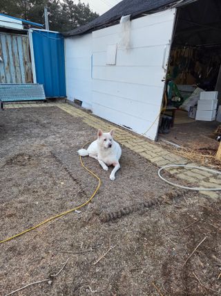 정민지호맘님의 기타작물 · 영농일지 작성글 사진