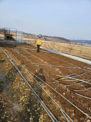 신신기루님의 기타작물 · 영농일지 작성글 사진
