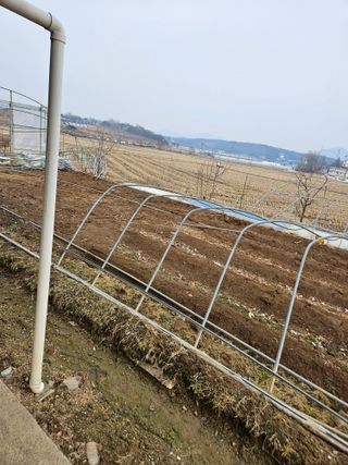 신신기루님의 기타작물 · 영농일지 작성글 사진