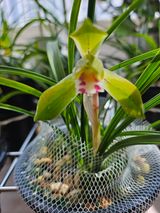 팜모닝 기타작물·영농일지 게시글 이미지