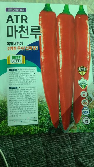 고춘석(고랑과이랑)님의 기타작물 · 영농일지 작성글 사진