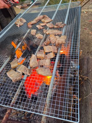 정민지호맘님의 기타작물 · 영농일지 작성글 사진