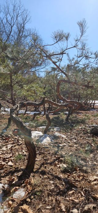 나무의인생과삶님의 기타작물 · 영농일지 작성글 사진