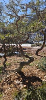 팜모닝 기타작물·영농일지 게시글 이미지