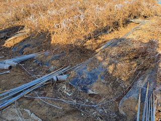 정택님의 기타작물 · 영농일지 작성글 사진