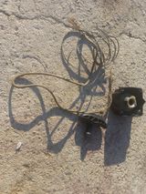 팜모닝 기타작물·영농일지 게시글 이미지